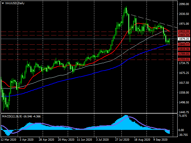 XAUUSD Daily